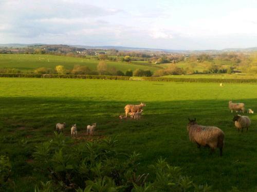 The Draen Bed And Breakfast Brecon Exterior foto
